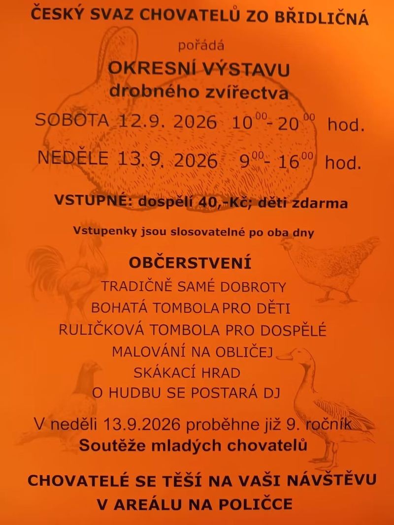 eyJidWNrZXQiOiJidWNrZXQtbXItYXBpLXAtcHJvZCIsImtleSI6ImltYWdlc1wvdGltZWxpbmVcLzI5NzJcLzVcLzM5MjY2NjFfNmE5N2M5NzhkZDlkYS5qcGciLCJlZGl0cyI6eyJyZXNpemUi.jpg