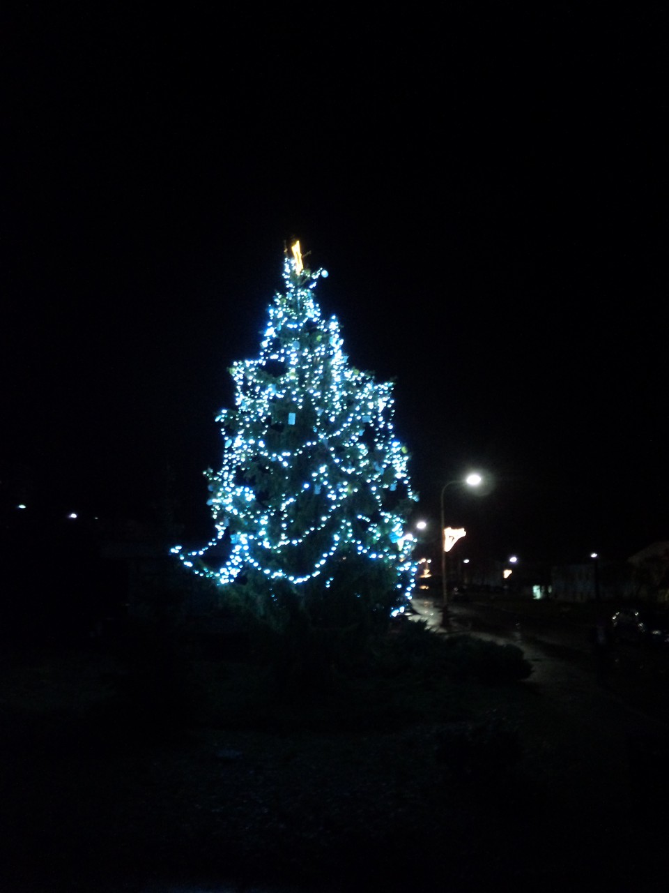 p1014331.jpg
